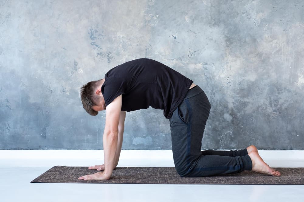 Homme faisant la posture du chat en yoga