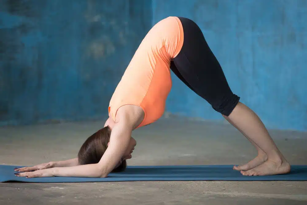Posture du dauphin en yoga